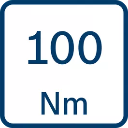 Torque 100 Nm
