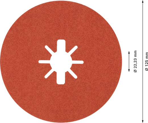 Bosch EXPERT R782 X-LOCK fibre disc 125mm grit 60.