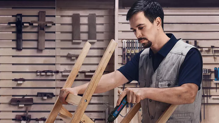 Bosch GO Bosch GO