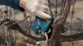 A person wearing safety equipment uses a cordless secateur to prune a vine branch.