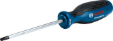 Screwdriver TX30x125