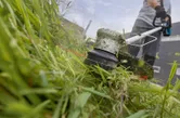 A person wearing safety equipment trims overgrown grass with a cordless grass trimmer.