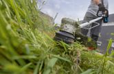 A person wearing safety equipment trims overgrown grass with a cordless grass trimmer.