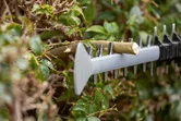 Hedge trimmer blade cutting a thick branch in dense green foliage.