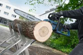 A person wearing safety equipment uses a cordless chainsaw to cut a large log outdoors.