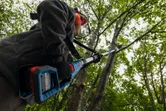 A person wearing safety equipment trims tree branches with an extendable power tool.