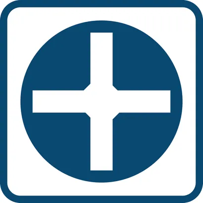 Screwdriver PH1X100 mm Professional