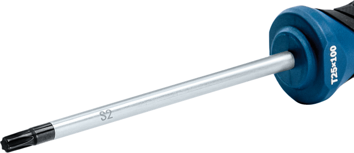 Screwdriver TX25x100 mm Professional