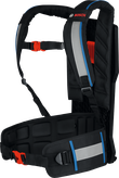 Bosch GBP100 backpack support harness.